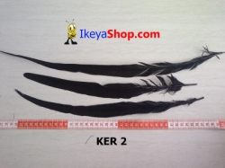 KER 2 large.jpg